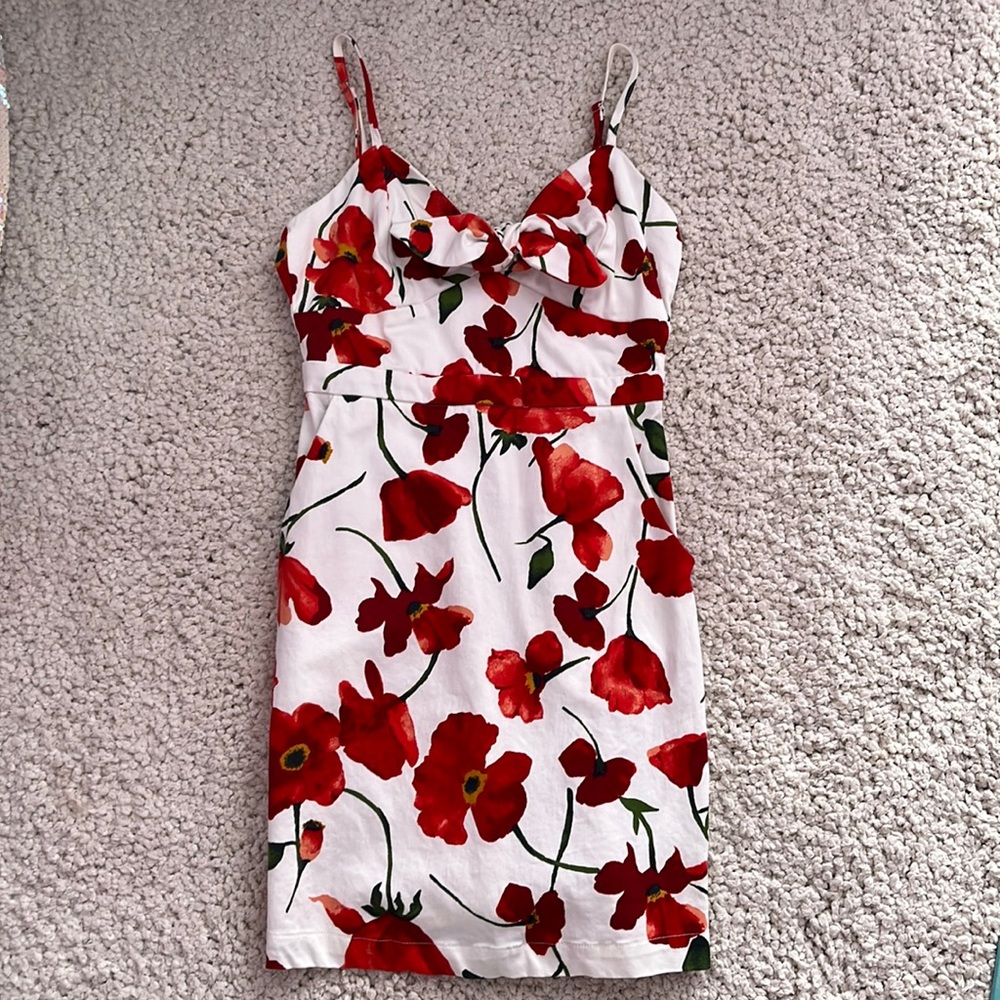 Gianni Bini GB Tie Front Poppy Floral Dress
